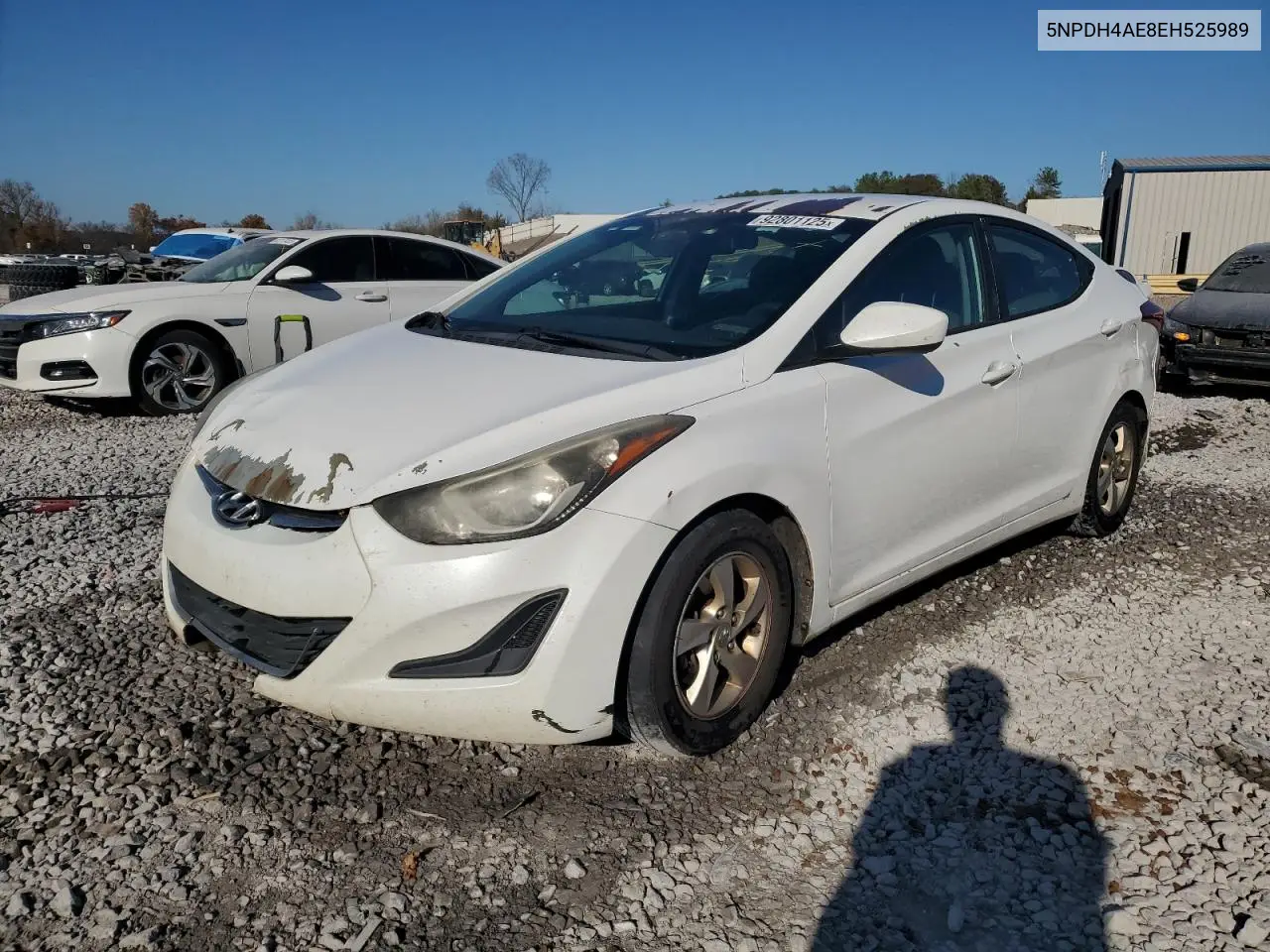 5NPDH4AE8EH525989 2014 Hyundai Elantra Se