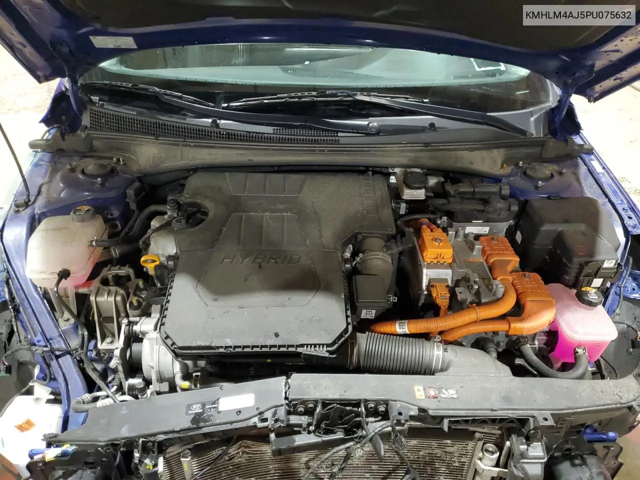 KMHLM4AJ5PU075632 2023 Hyundai Elantra Blue
