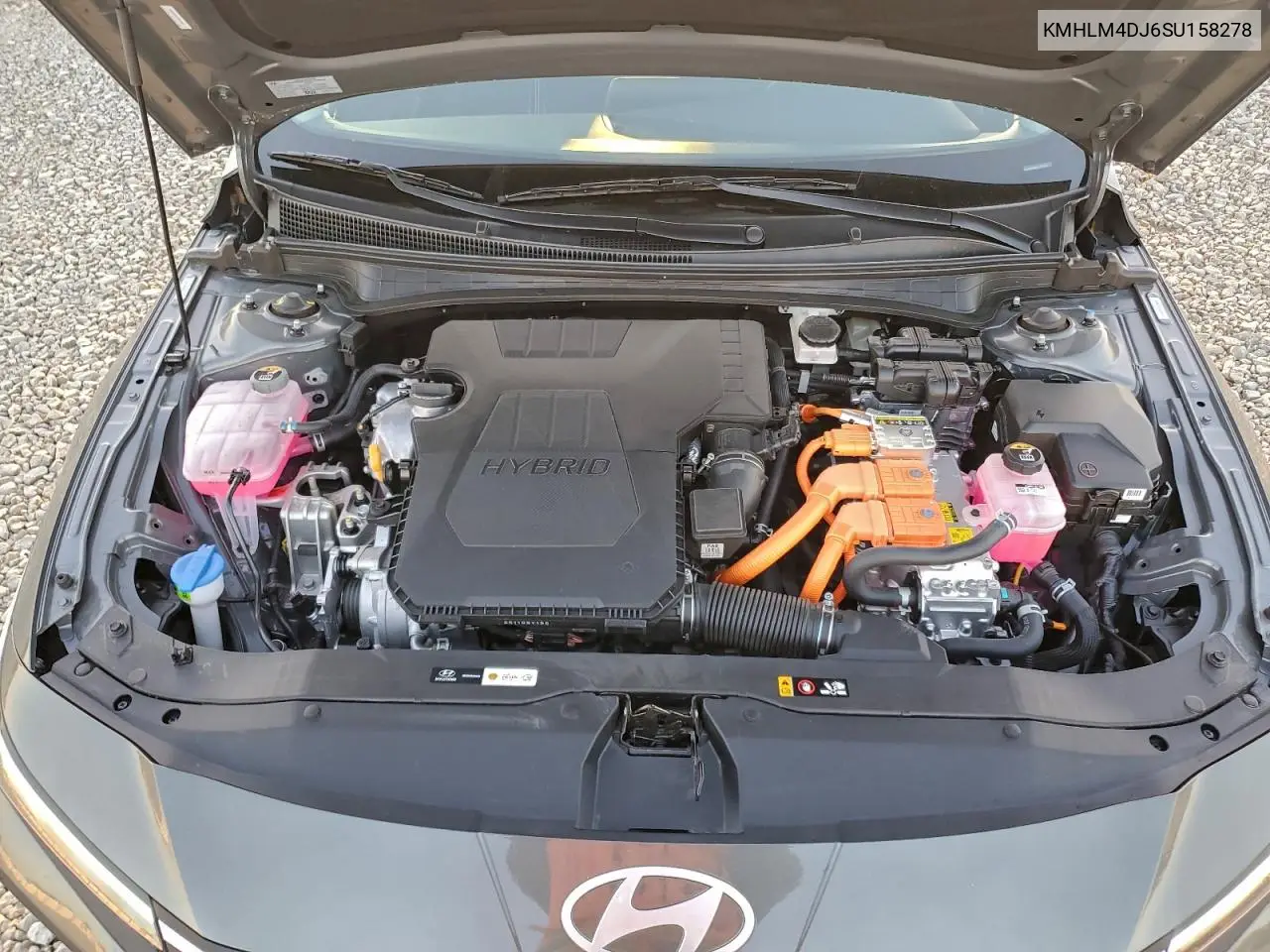 KMHLM4DJ6SU158278 2025 Hyundai Elantra Blue