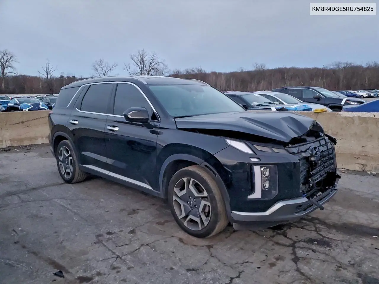 KM8R4DGE5RU754825 2024 Hyundai Palisade Sel Premium