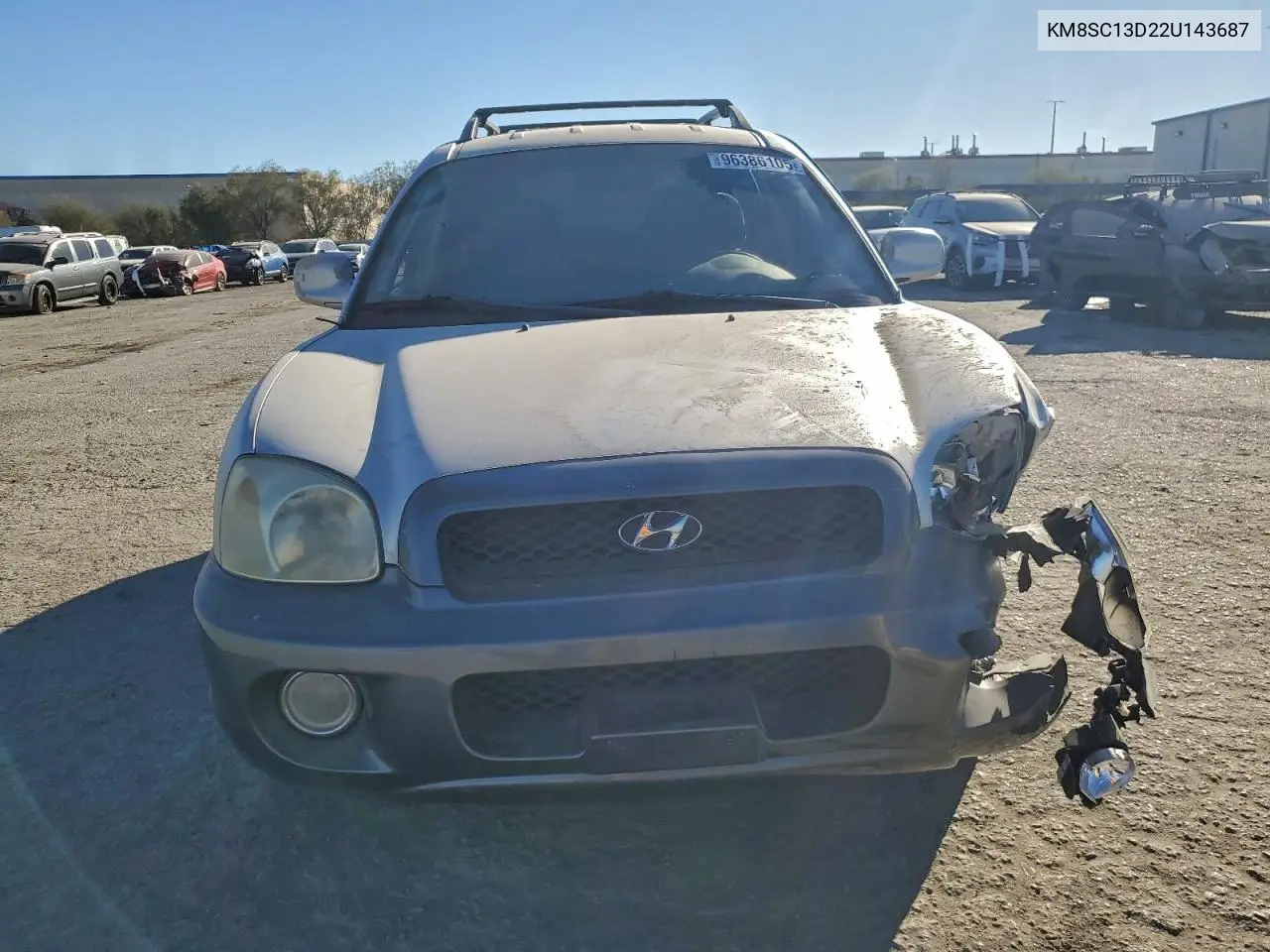 KM8SC13D22U143687 2002 Hyundai Santa Fe Gls