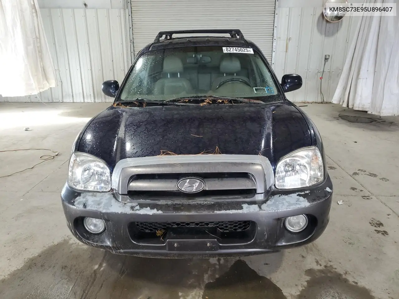 KM8SC73E95U896407 2005 Hyundai Santa Fe Gls