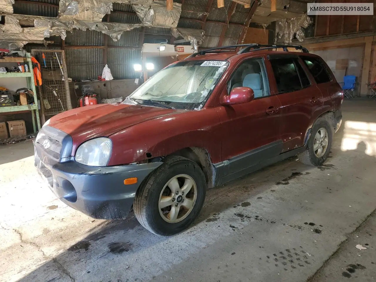 KM8SC73D55U918054 2005 Hyundai Santa Fe Gls