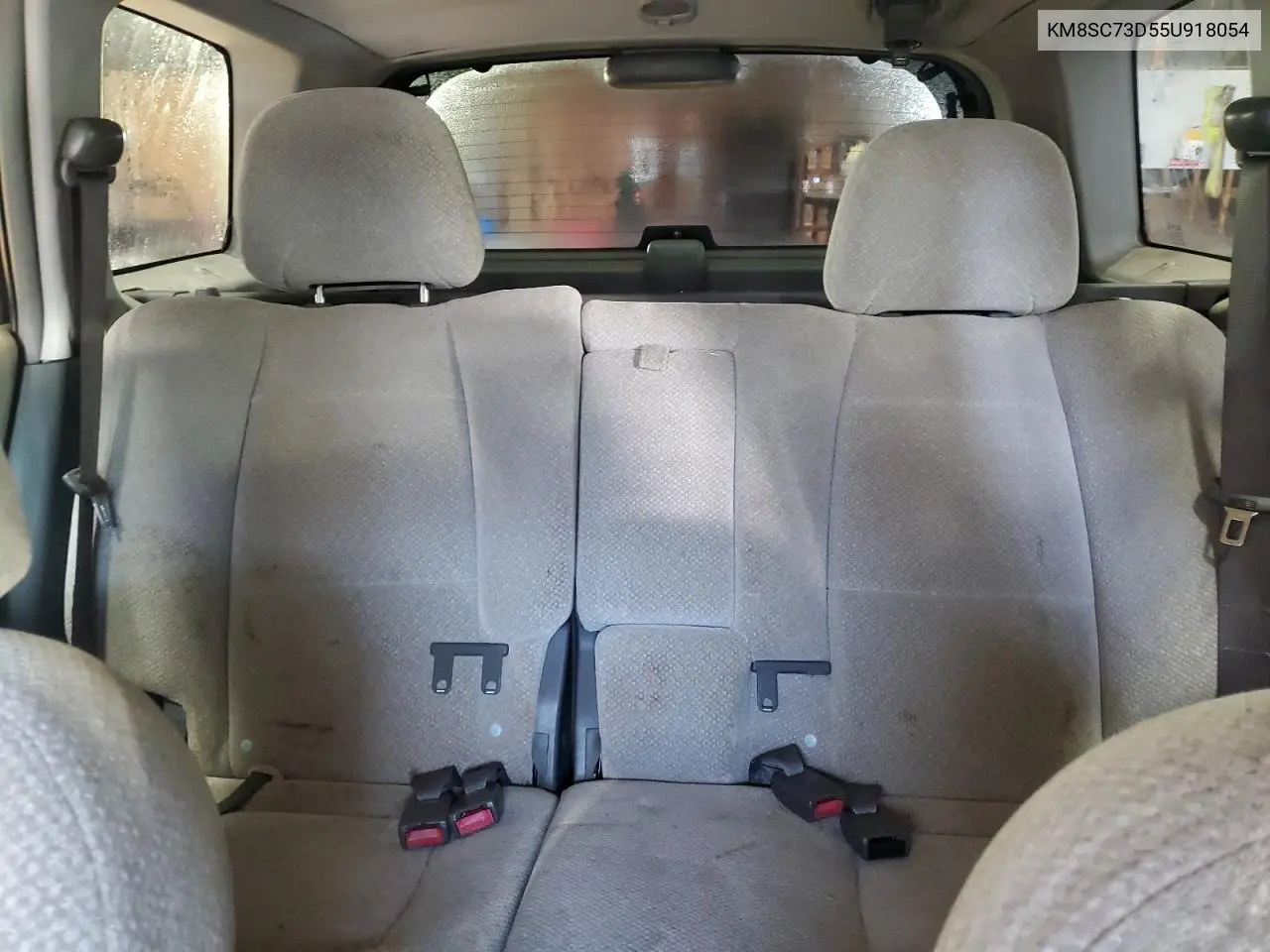 KM8SC73D55U918054 2005 Hyundai Santa Fe Gls