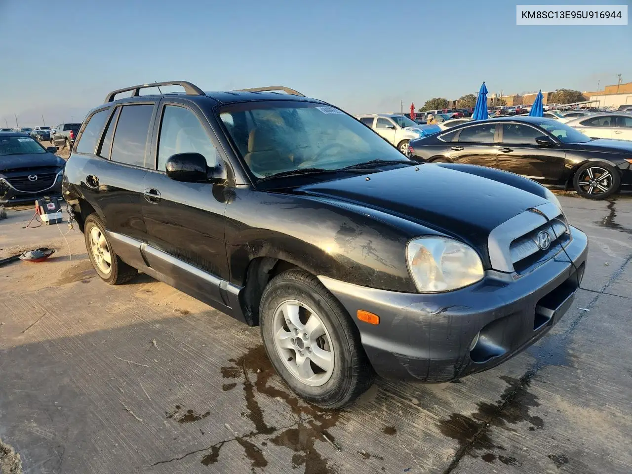 KM8SC13E95U916944 2005 Hyundai Santa Fe Gls