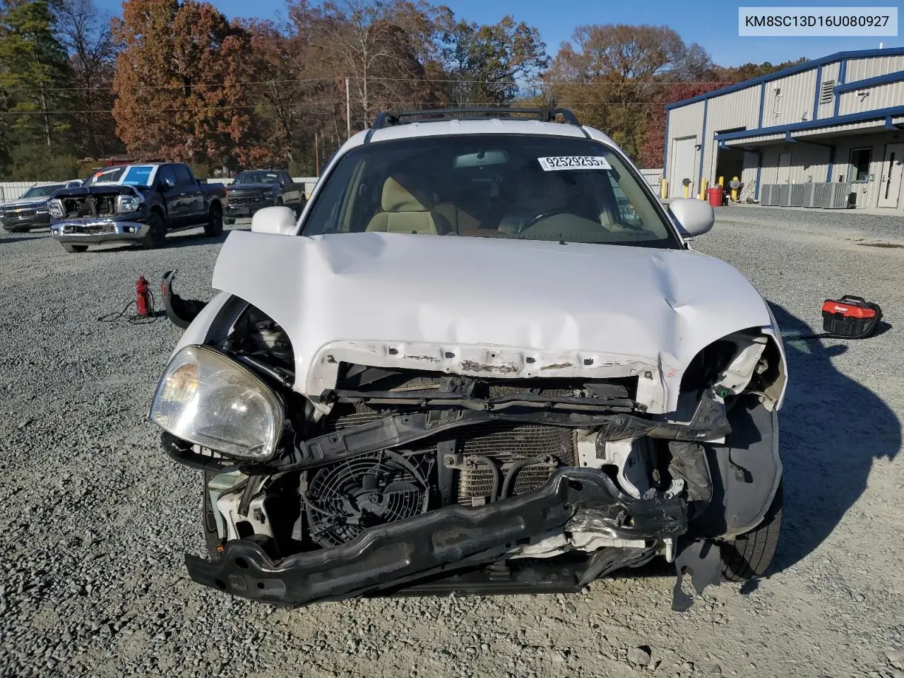 KM8SC13D16U080927 2006 Hyundai Santa Fe Gls