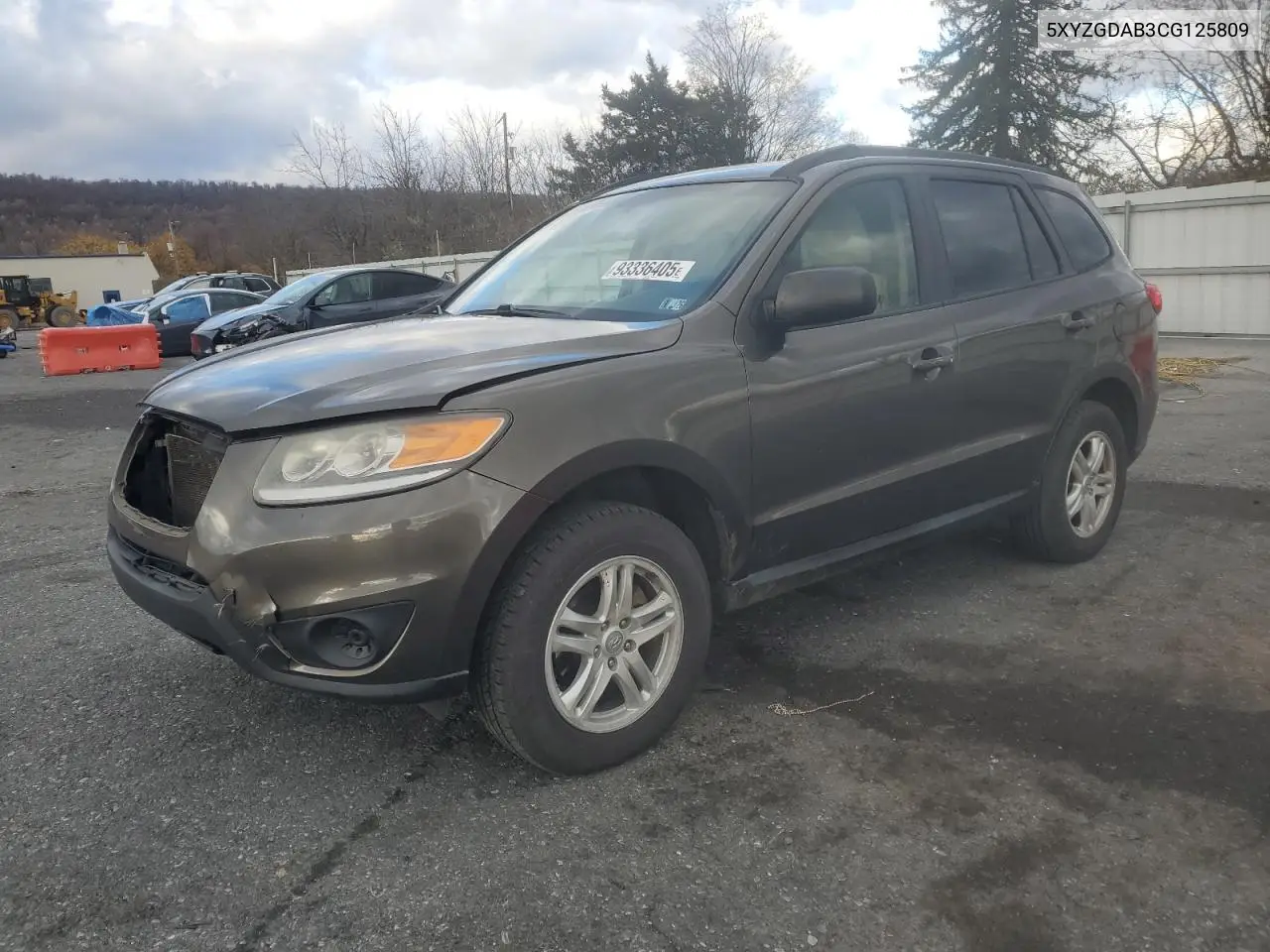 5XYZGDAB3CG125809 2012 Hyundai Santa Fe Gls