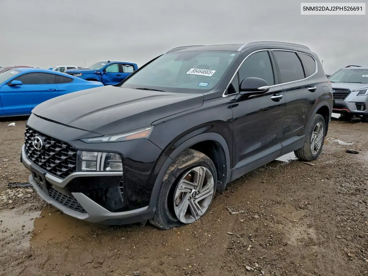 5NMS2DAJ2PH526691 2023 Hyundai Santa Fe Sel