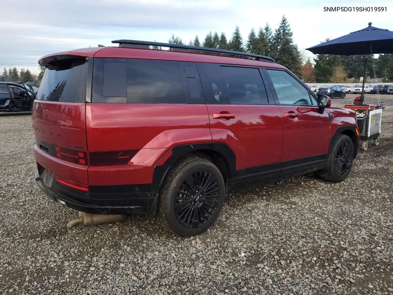 5NMP5DG19SH019591 2025 Hyundai Santa Fe Calligraphy