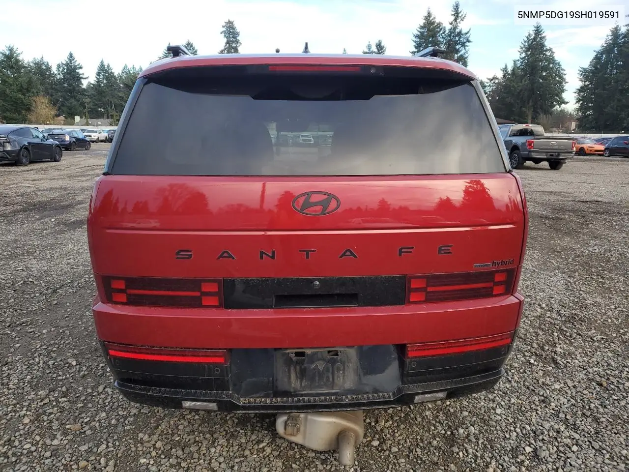 5NMP5DG19SH019591 2025 Hyundai Santa Fe Calligraphy