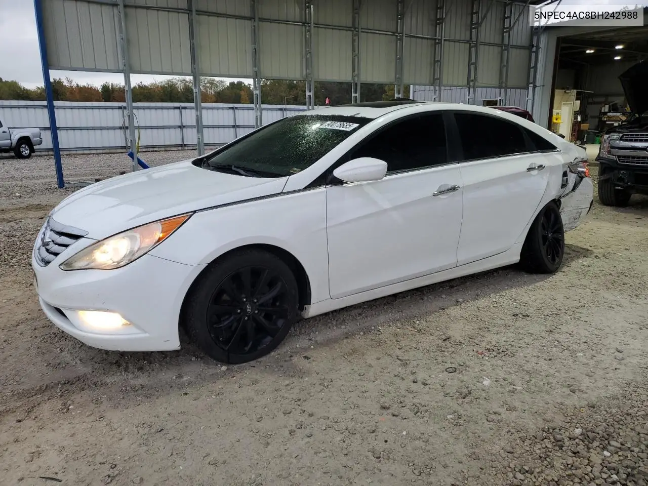 5NPEC4AC8BH242988 2011 Hyundai Sonata Se