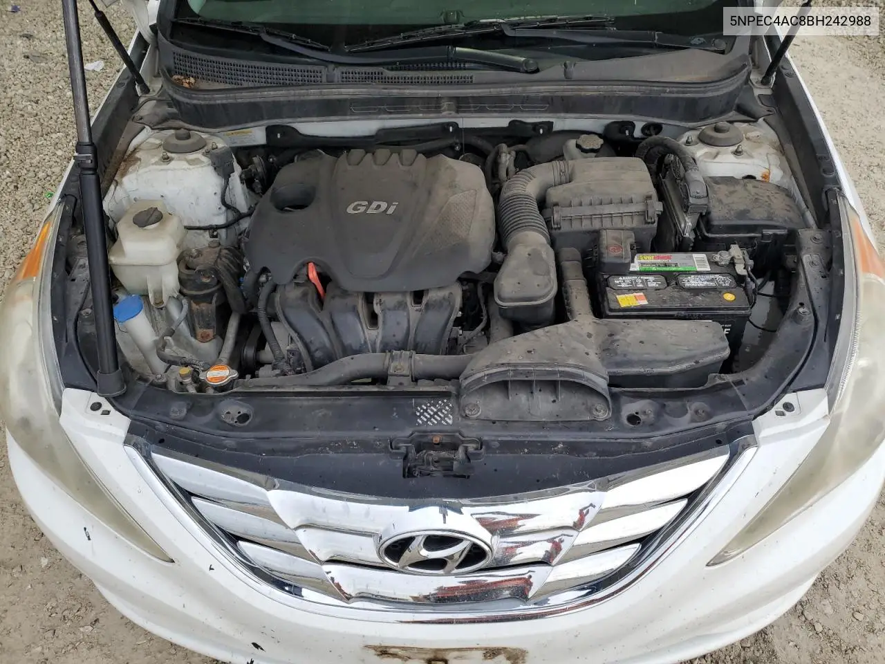 5NPEC4AC8BH242988 2011 Hyundai Sonata Se
