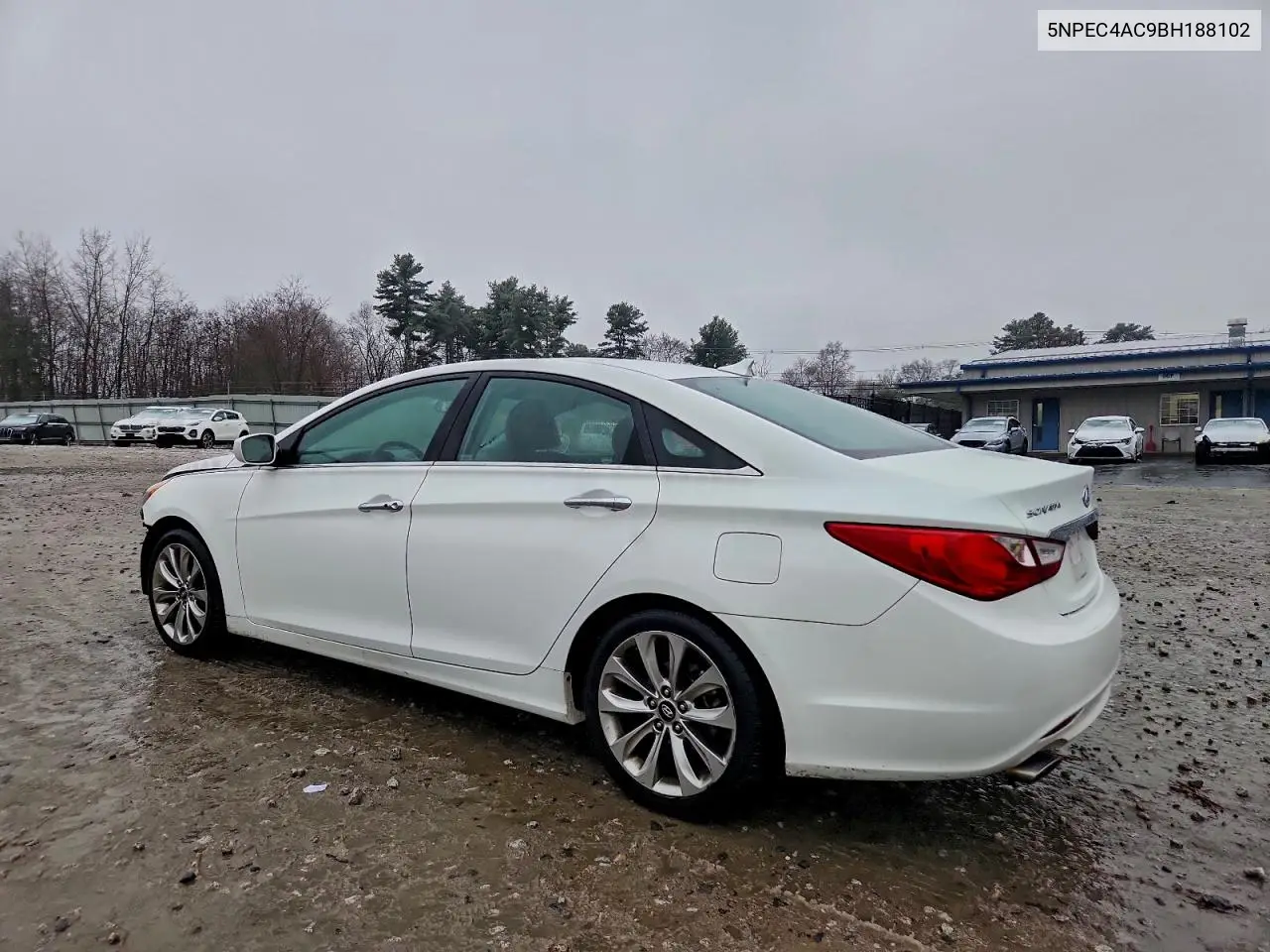 5NPEC4AC9BH188102 2011 Hyundai Sonata Se