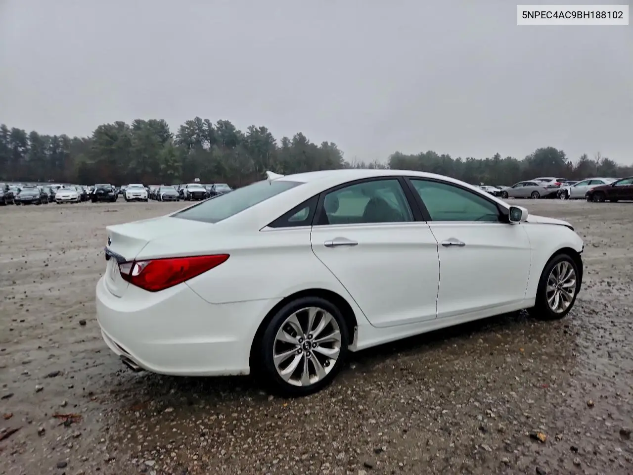 5NPEC4AC9BH188102 2011 Hyundai Sonata Se