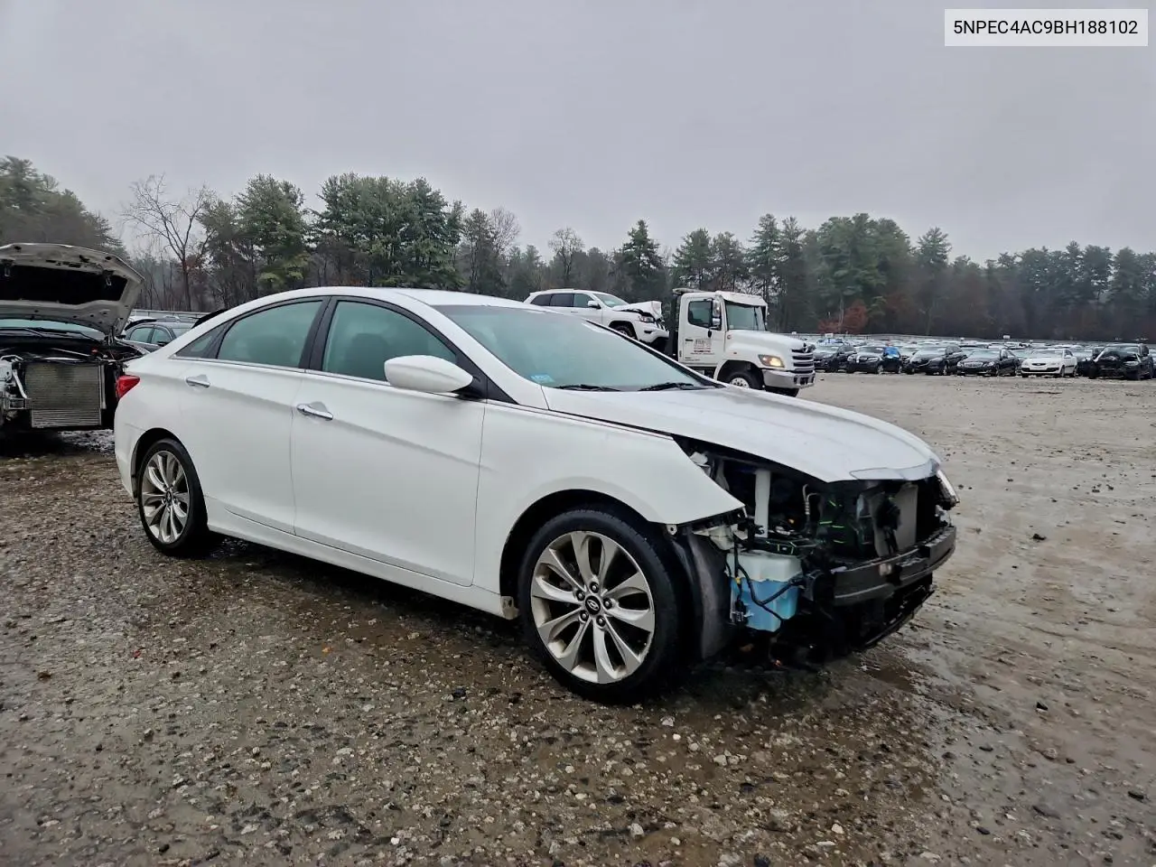 5NPEC4AC9BH188102 2011 Hyundai Sonata Se