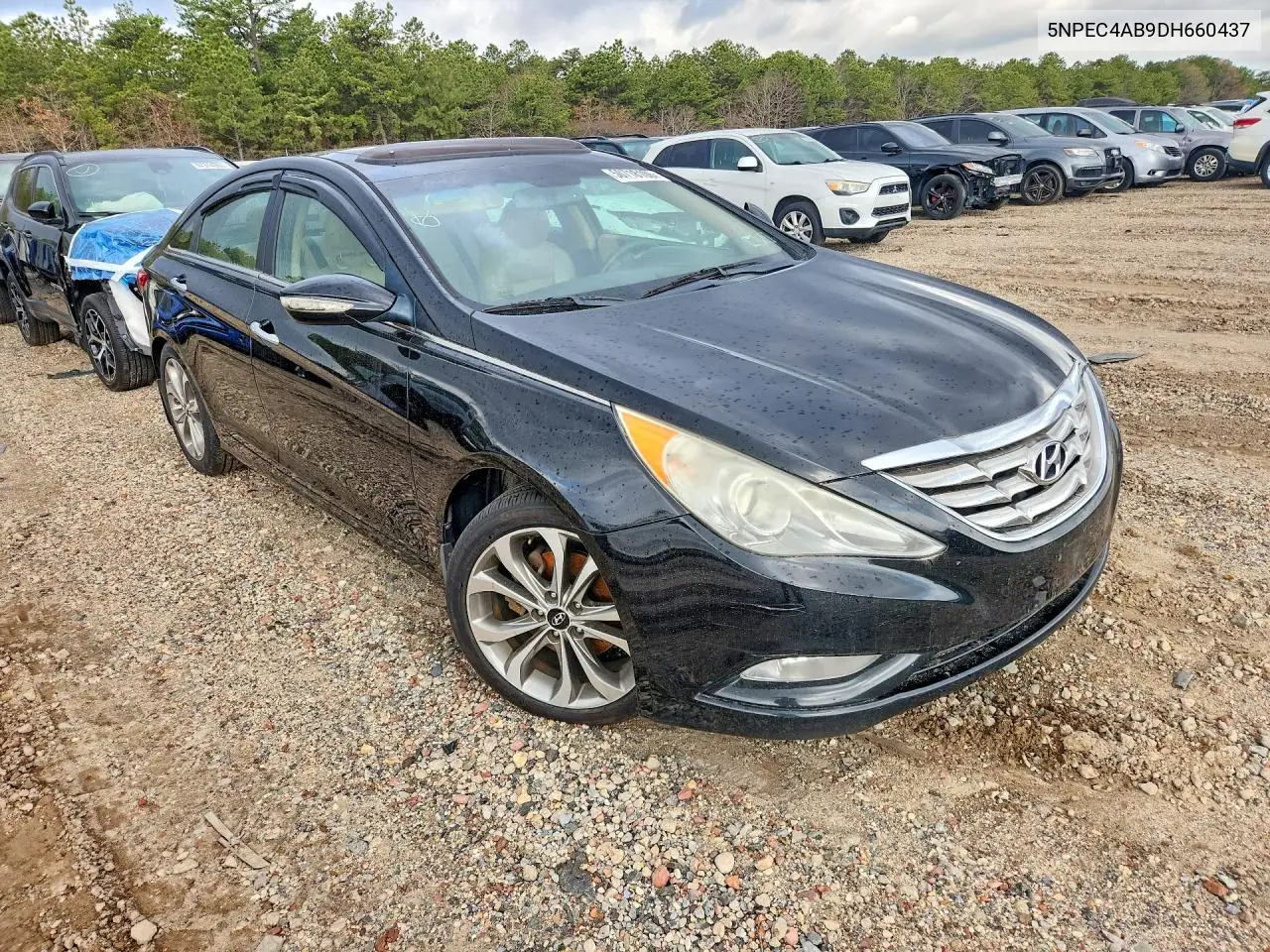 5NPEC4AB9DH660437 2013 Hyundai Sonata Se