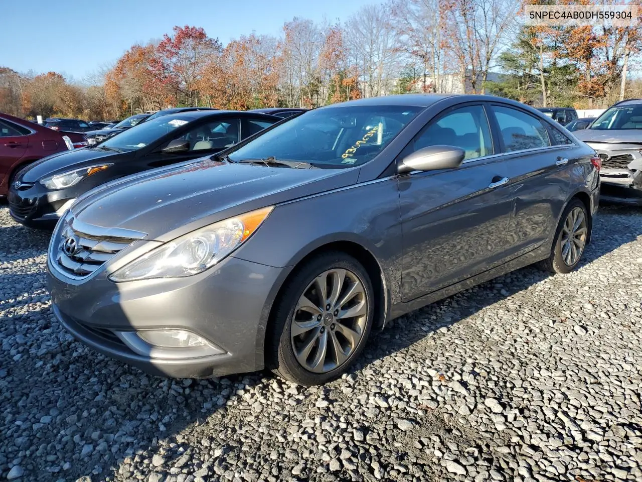 5NPEC4AB0DH559304 2013 Hyundai Sonata Se