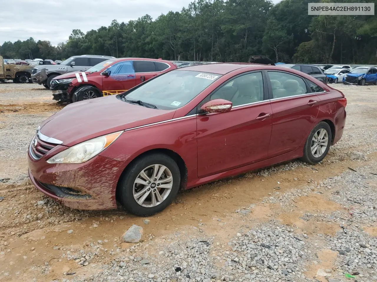 5NPEB4AC2EH891130 2014 Hyundai Sonata Gls