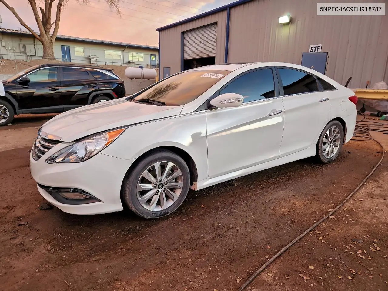 5NPEC4AC9EH918787 2014 Hyundai Sonata Se
