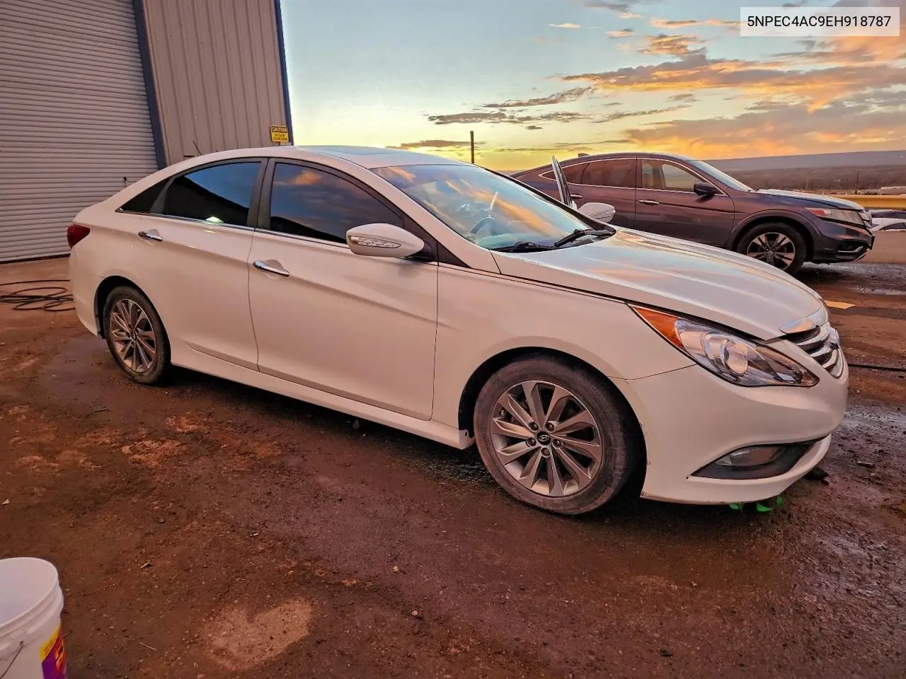 5NPEC4AC9EH918787 2014 Hyundai Sonata Se