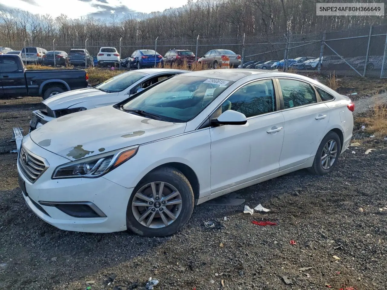5NPE24AF8GH366649 2016 Hyundai Sonata Se