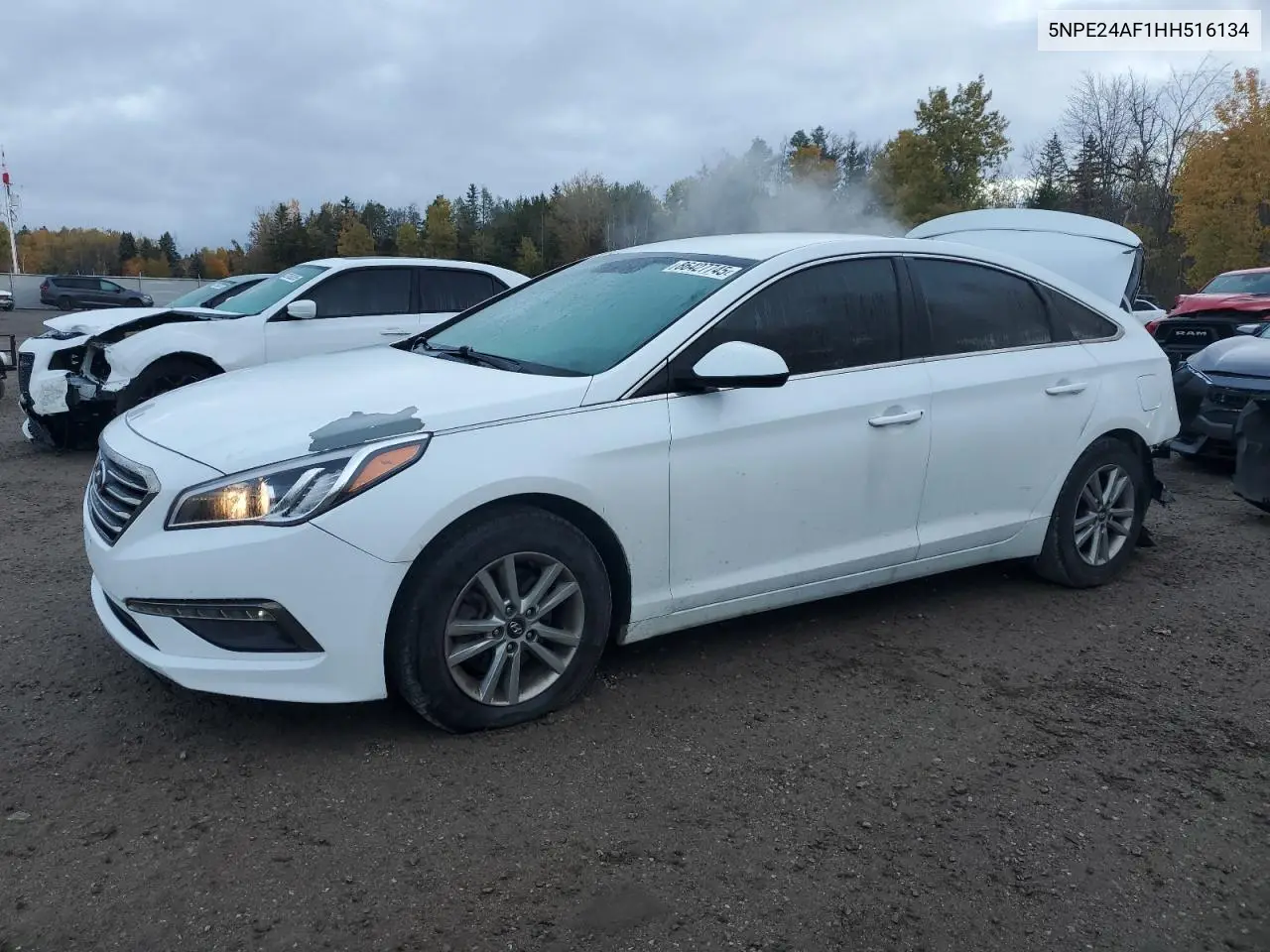 5NPE24AF1HH516134 2017 Hyundai Sonata Se