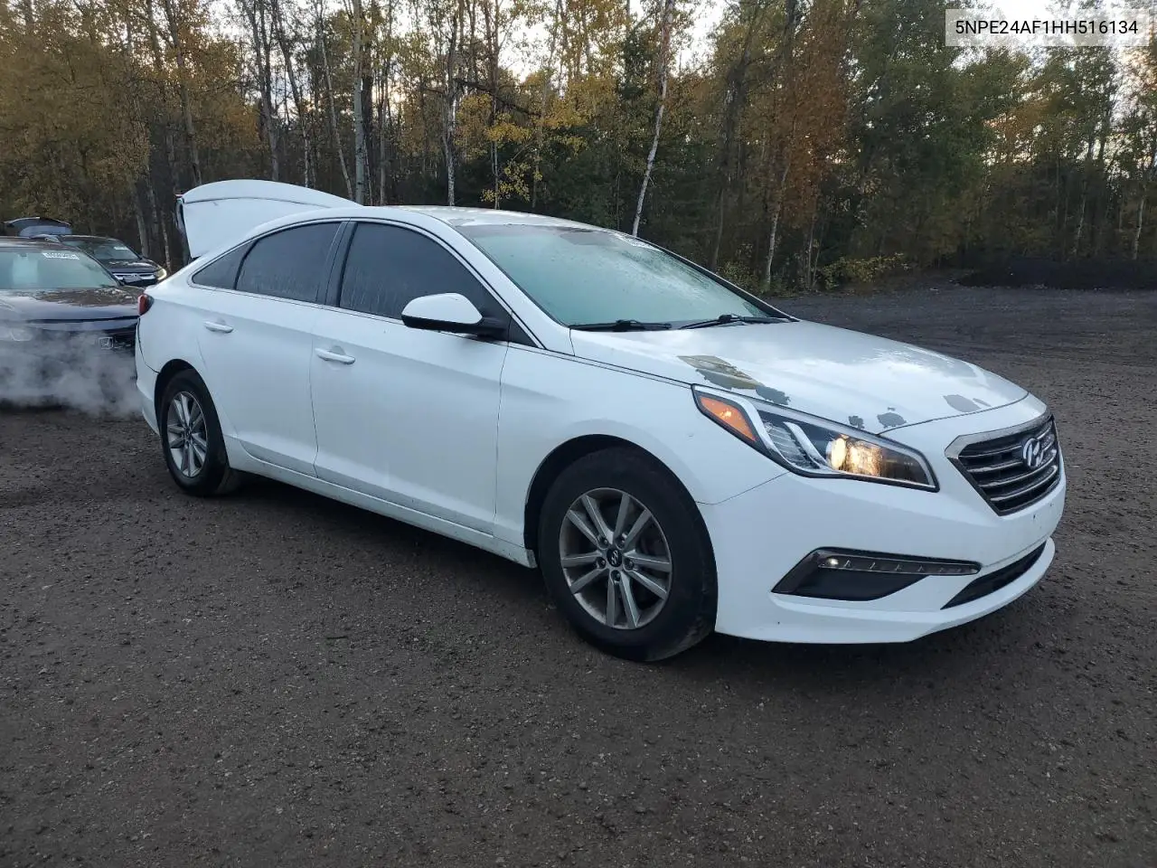 5NPE24AF1HH516134 2017 Hyundai Sonata Se