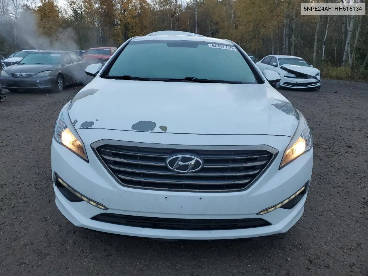 5NPE24AF1HH516134 2017 Hyundai Sonata Se