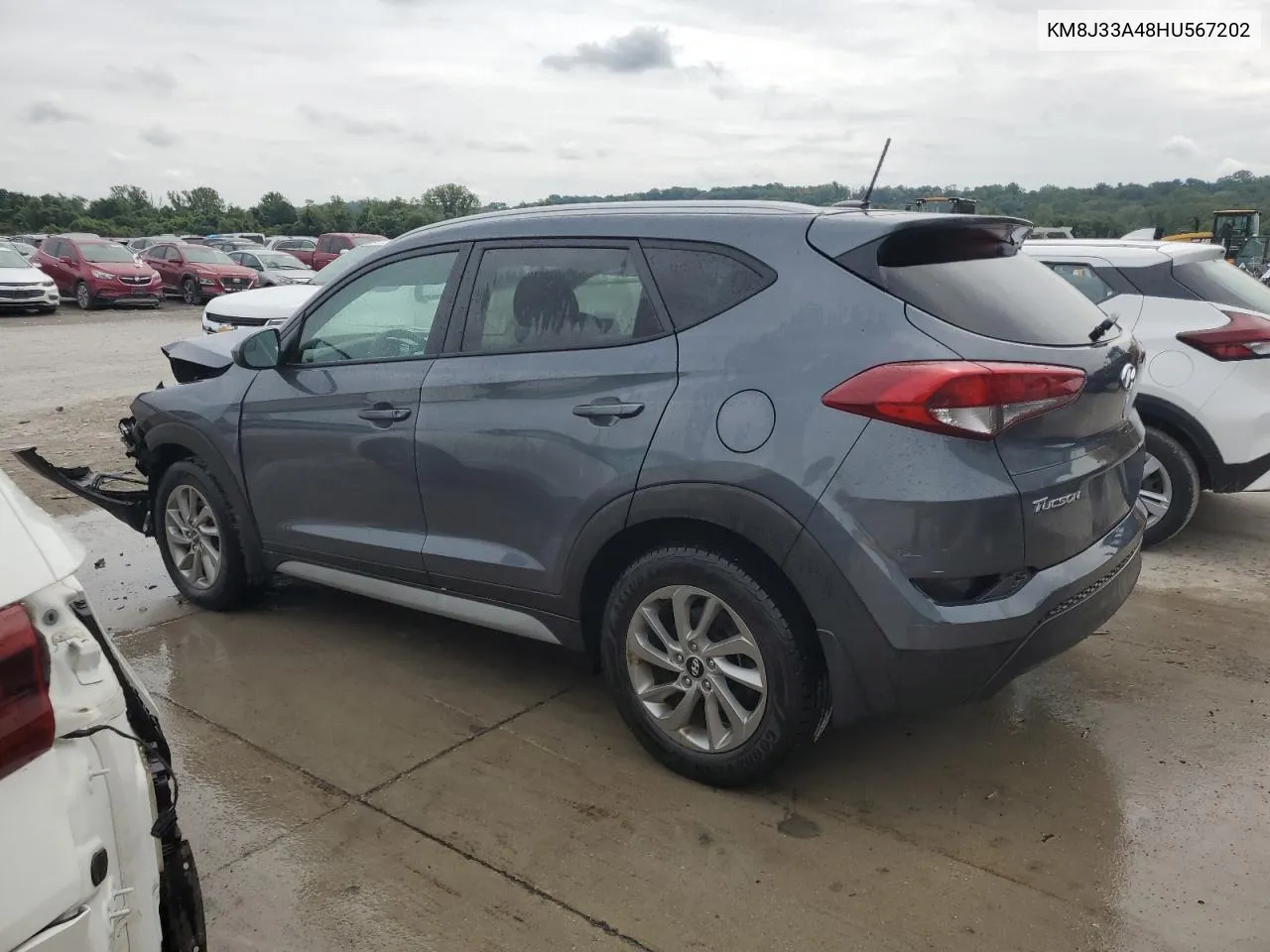 KM8J33A48HU567202 2017 Hyundai Tucson Limited