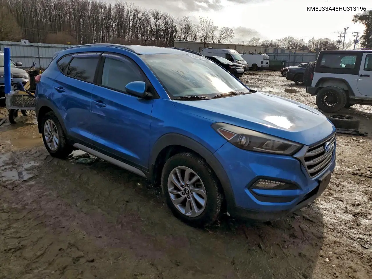 KM8J33A48HU313196 2017 Hyundai Tucson Limited