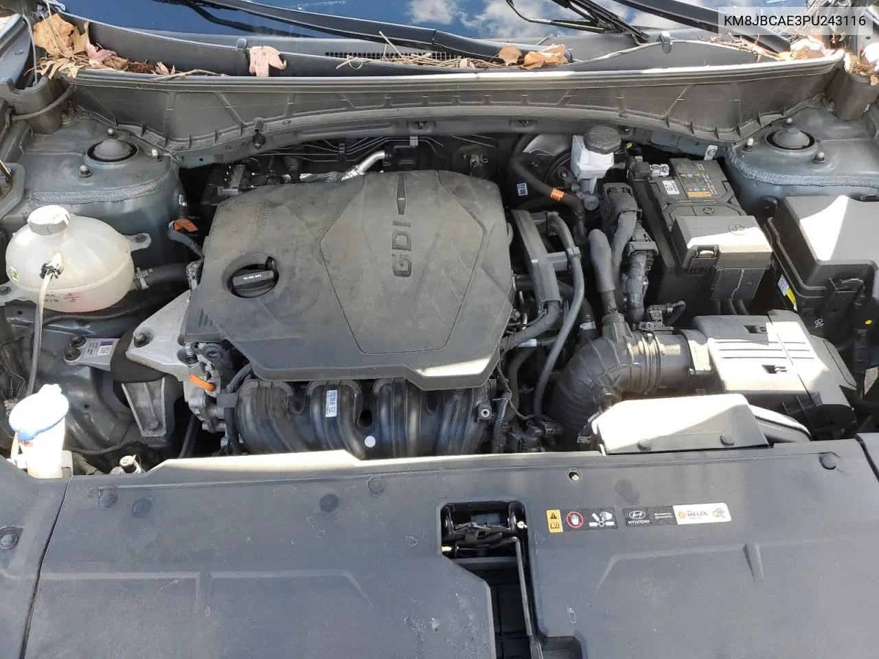 KM8JBCAE3PU243116 2023 Hyundai Tucson Sel