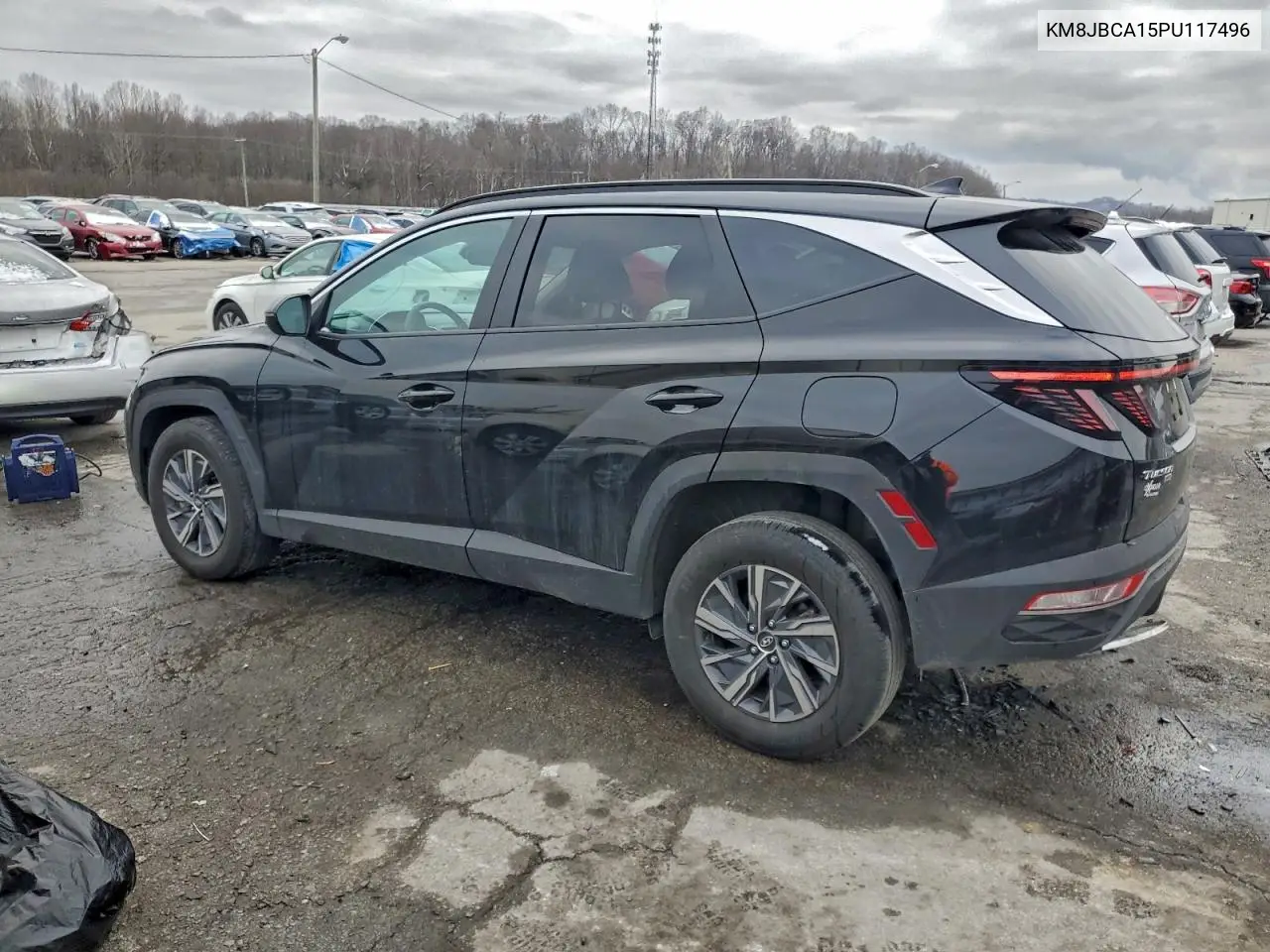 KM8JBCA15PU117496 2023 Hyundai Tucson Blue