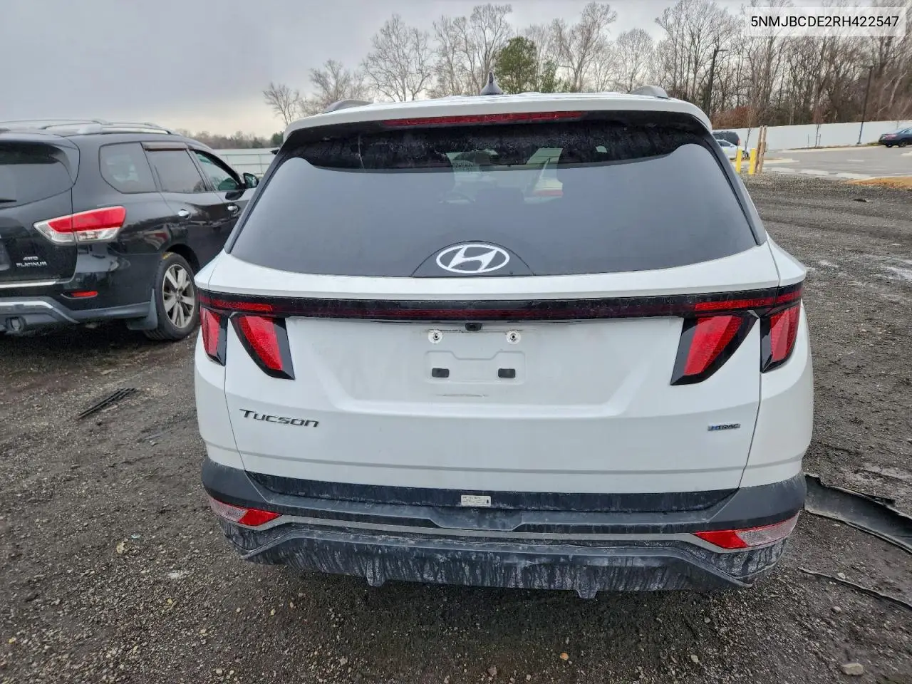 5NMJBCDE2RH422547 2024 Hyundai Tucson Sel
