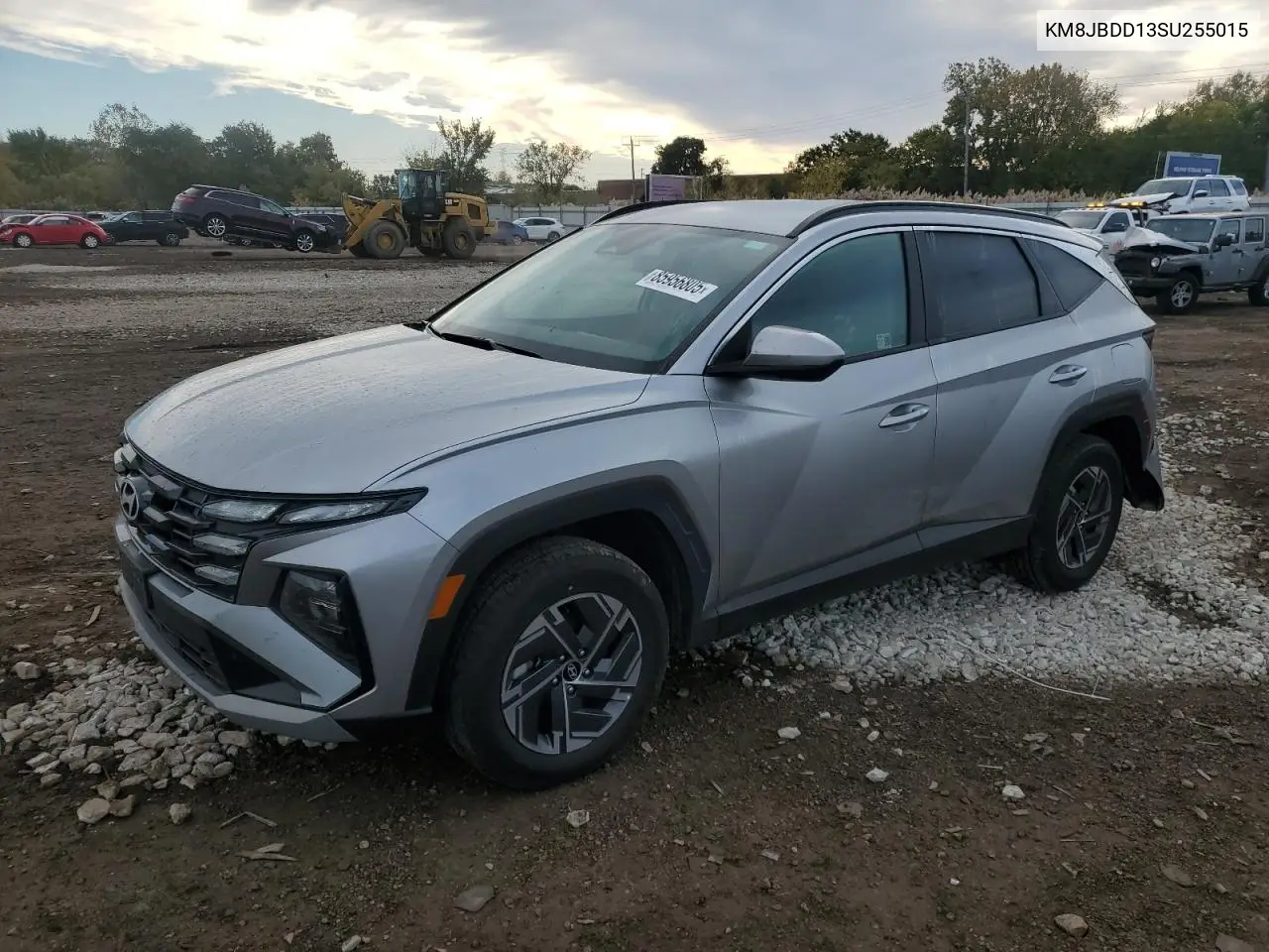 KM8JBDD13SU255015 2025 Hyundai Tucson Blue