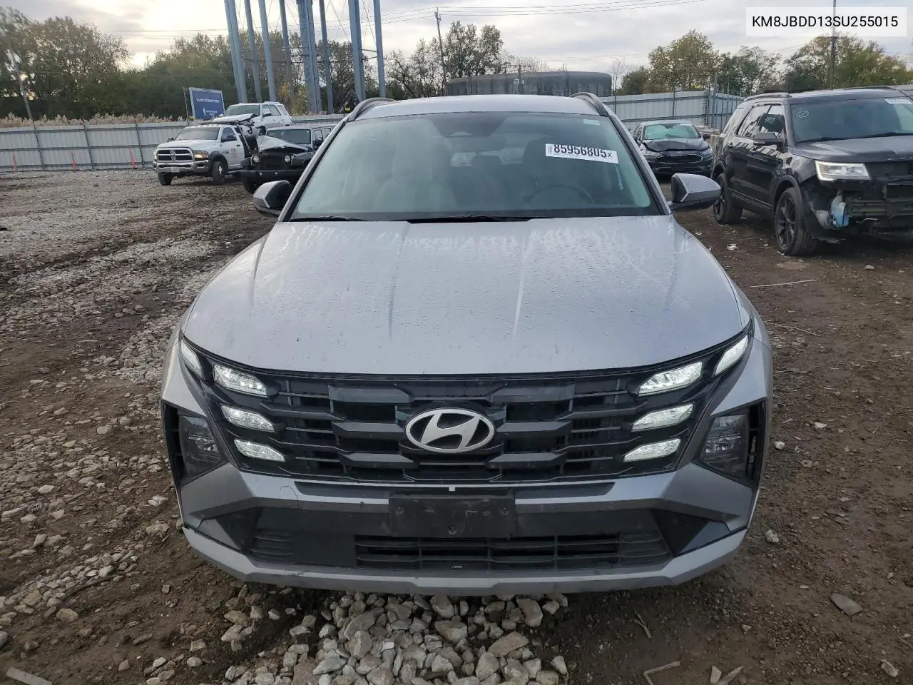 KM8JBDD13SU255015 2025 Hyundai Tucson Blue