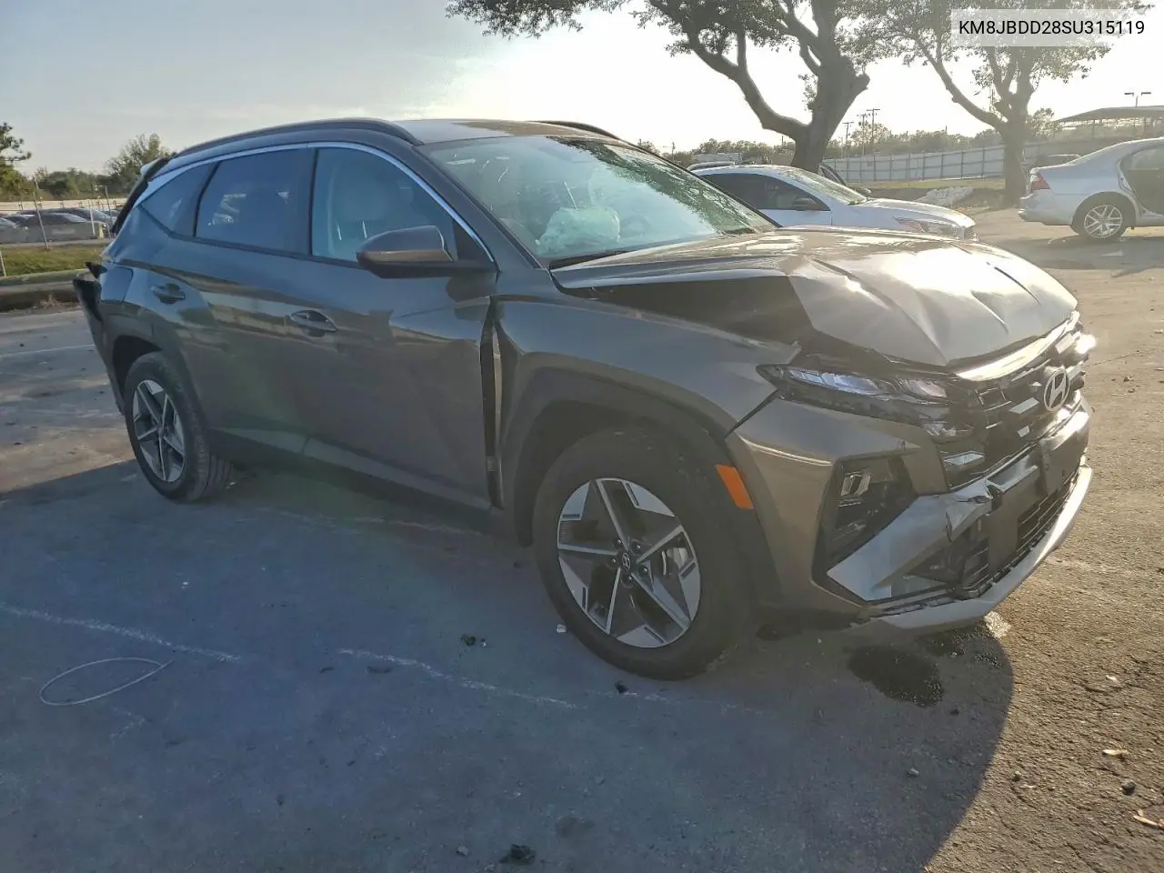 KM8JBDD28SU315119 2025 Hyundai Tucson Sel