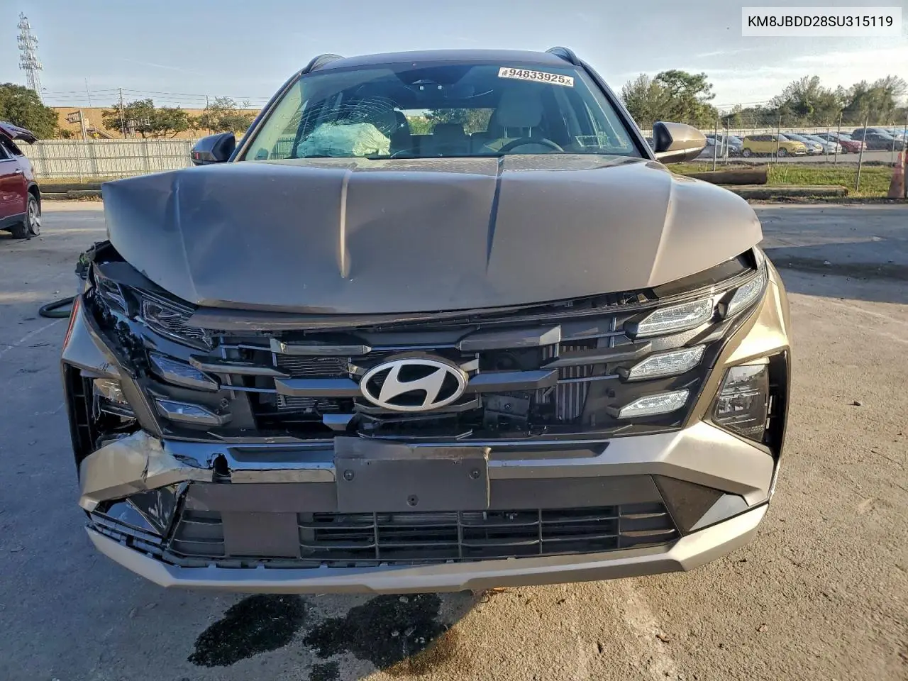 KM8JBDD28SU315119 2025 Hyundai Tucson Sel