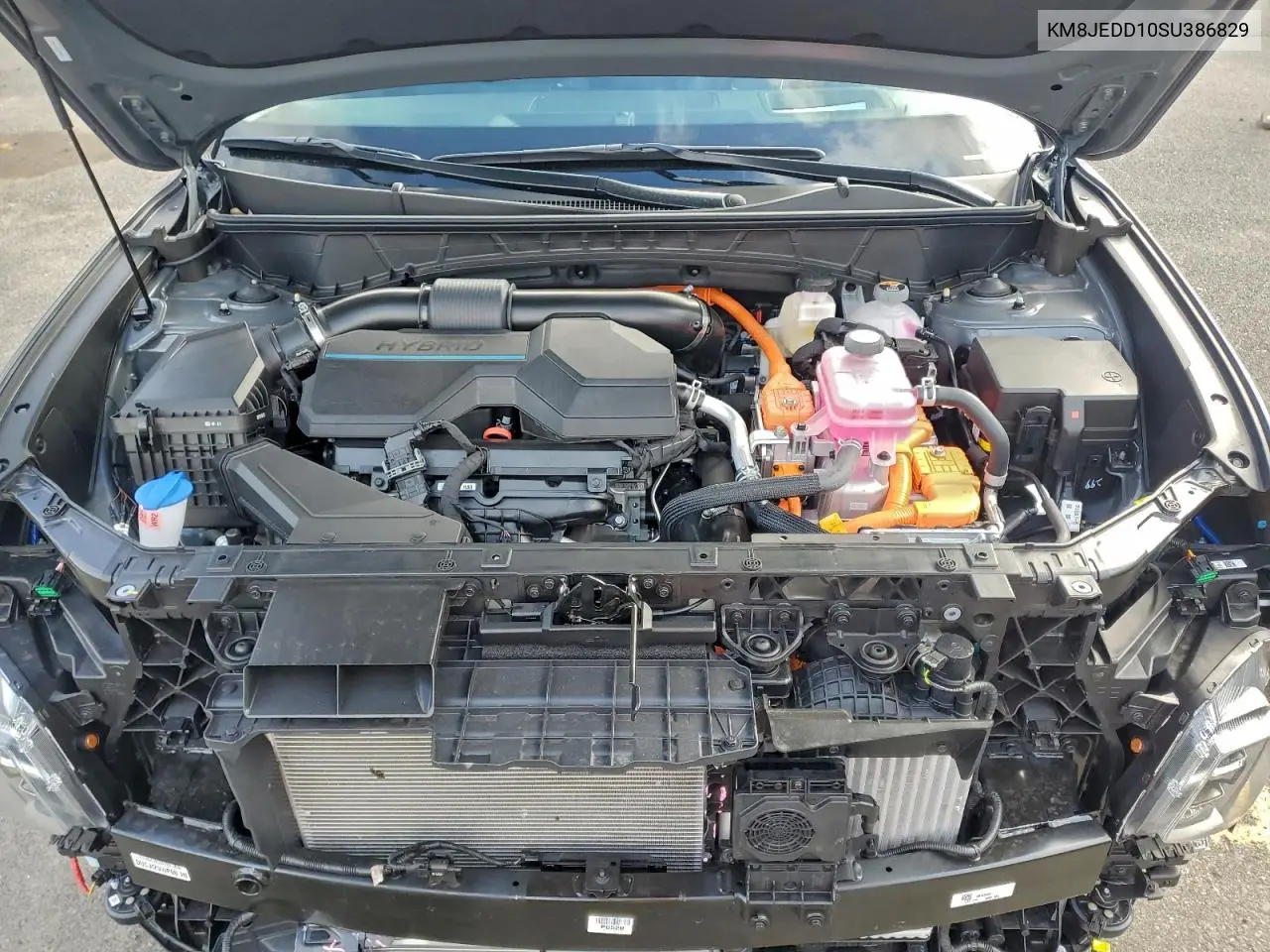 KM8JEDD10SU386829 2025 Hyundai Tucson Limited