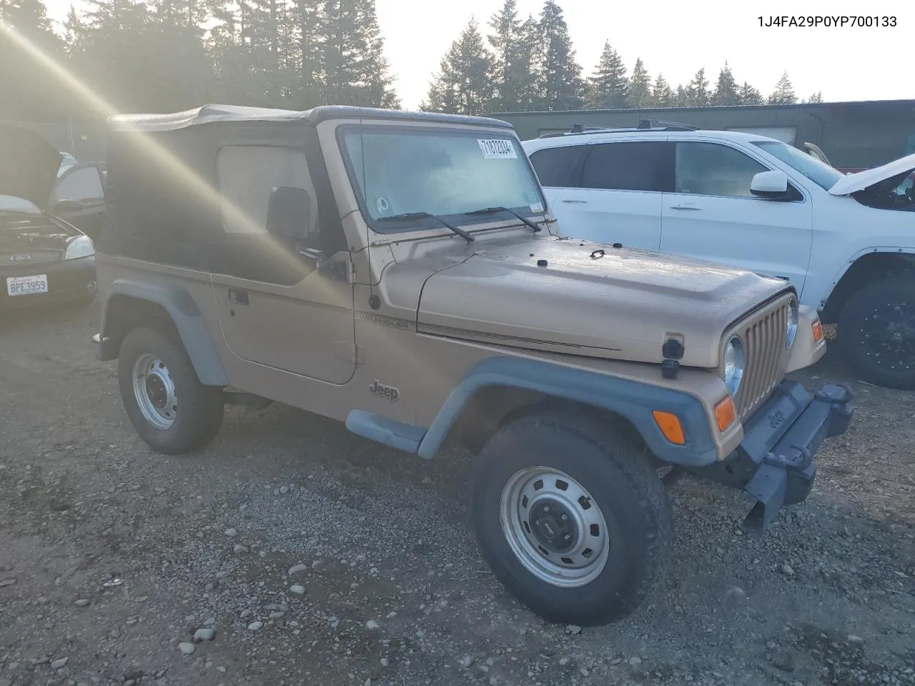 2000 Jeep Wrangler / Tj Se VIN: 1J4FA29P0YP700133 Lot: 71872334