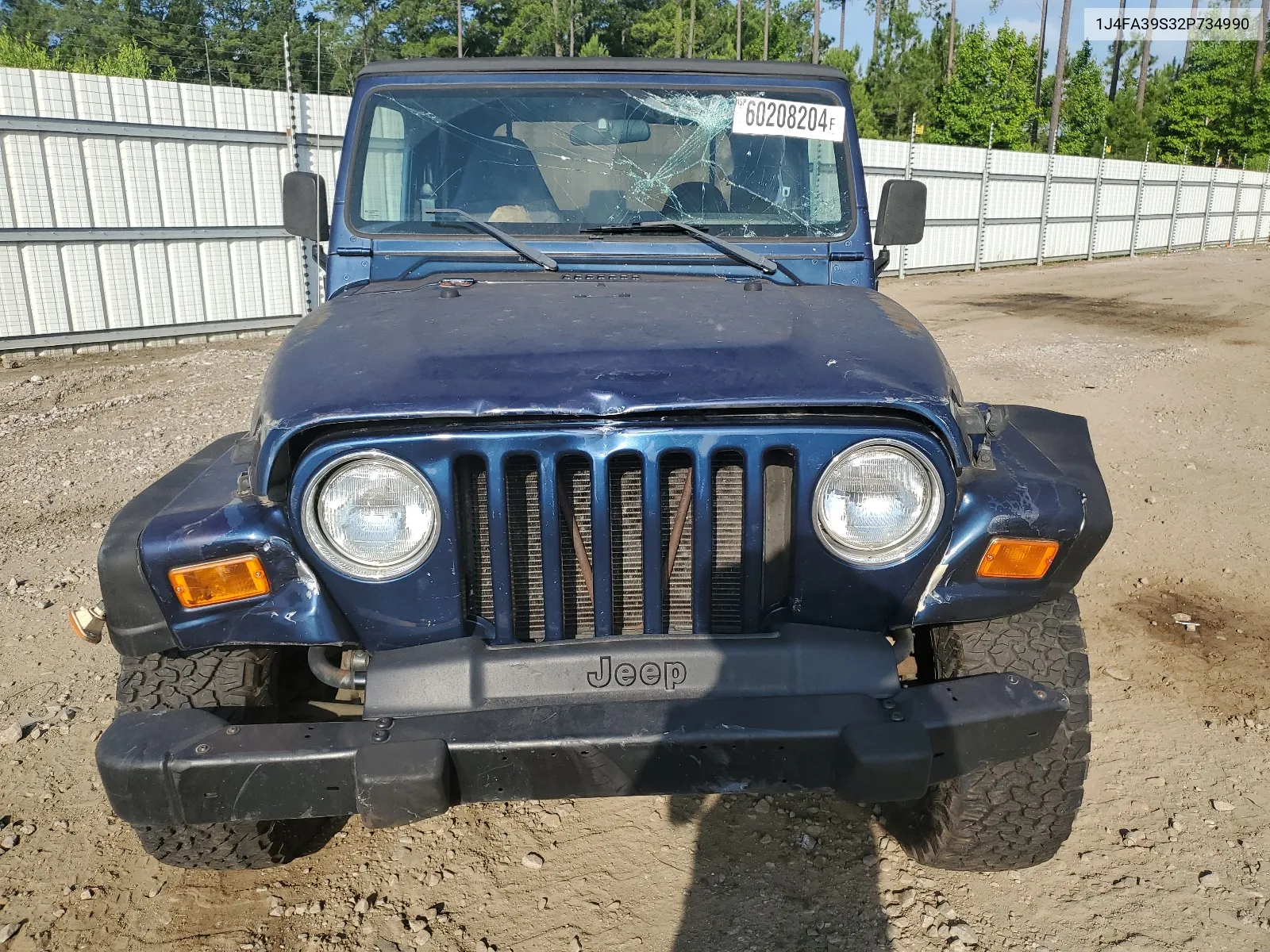 2002 Jeep Wrangler / Tj X VIN: 1J4FA39S32P734990 Lot: 60208204