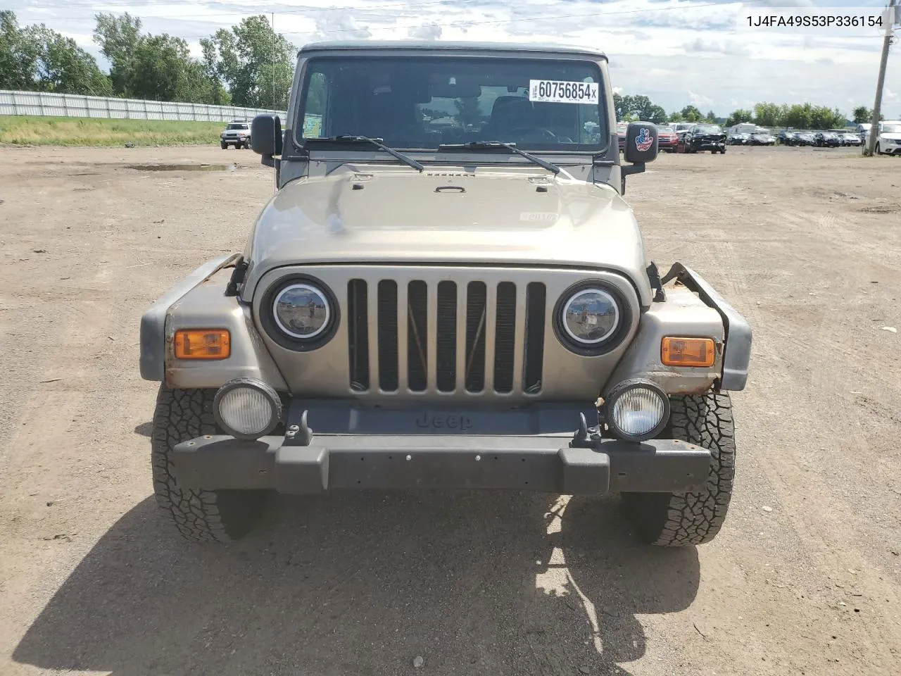 2003 Jeep Wrangler / Tj Sport VIN: 1J4FA49S53P336154 Lot: 60756854