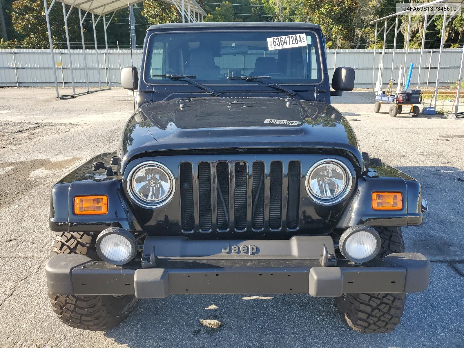 2003 Jeep Wrangler / Tj Rubicon VIN: 1J4FA69S13P345610 Lot: 63647284