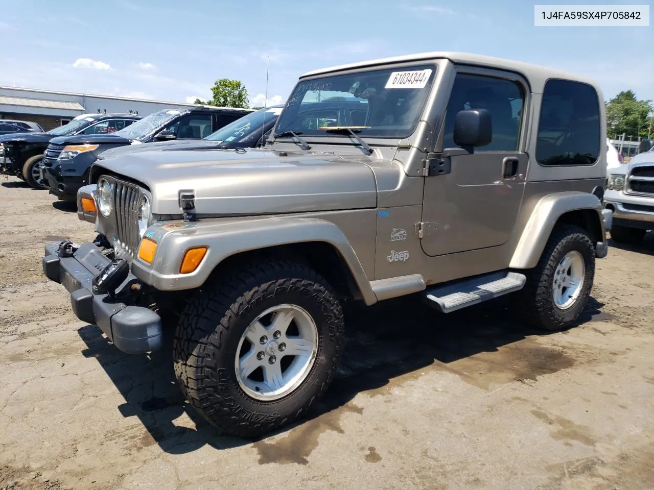 2004 Jeep Wrangler / Tj Sahara VIN: 1J4FA59SX4P705842 Lot: 61034344