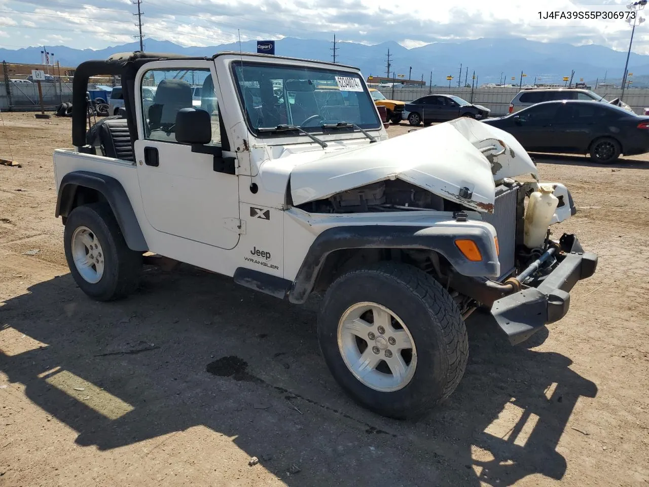 2005 Jeep Wrangler X VIN: 1J4FA39S55P306973 Lot: 62348074