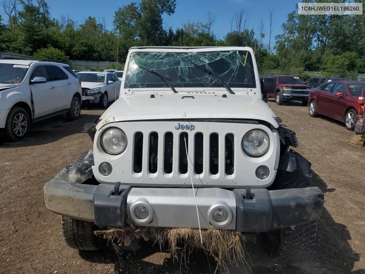 2014 Jeep Wrangler Unlimited Sahara VIN: 1C4HJWEG1EL186260 Lot: 61375824