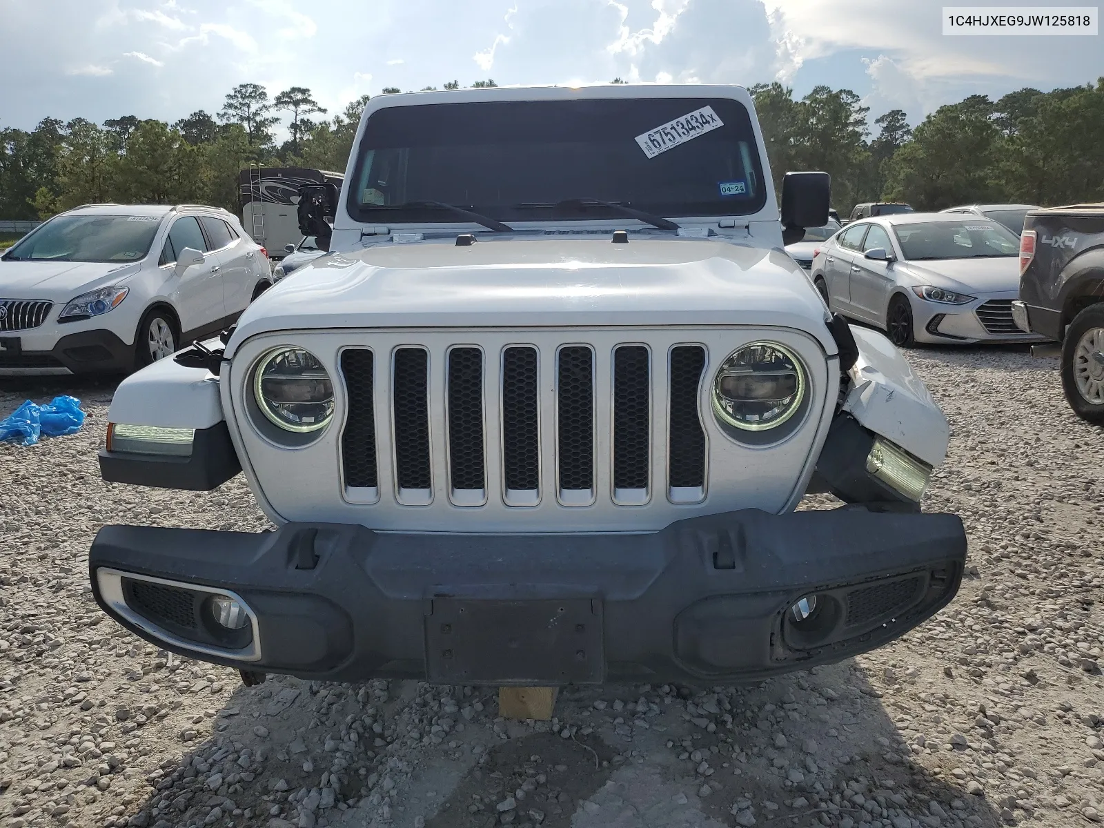 2018 Jeep Wrangler Unlimited Sahara VIN: 1C4HJXEG9JW125818 Lot: 67513434