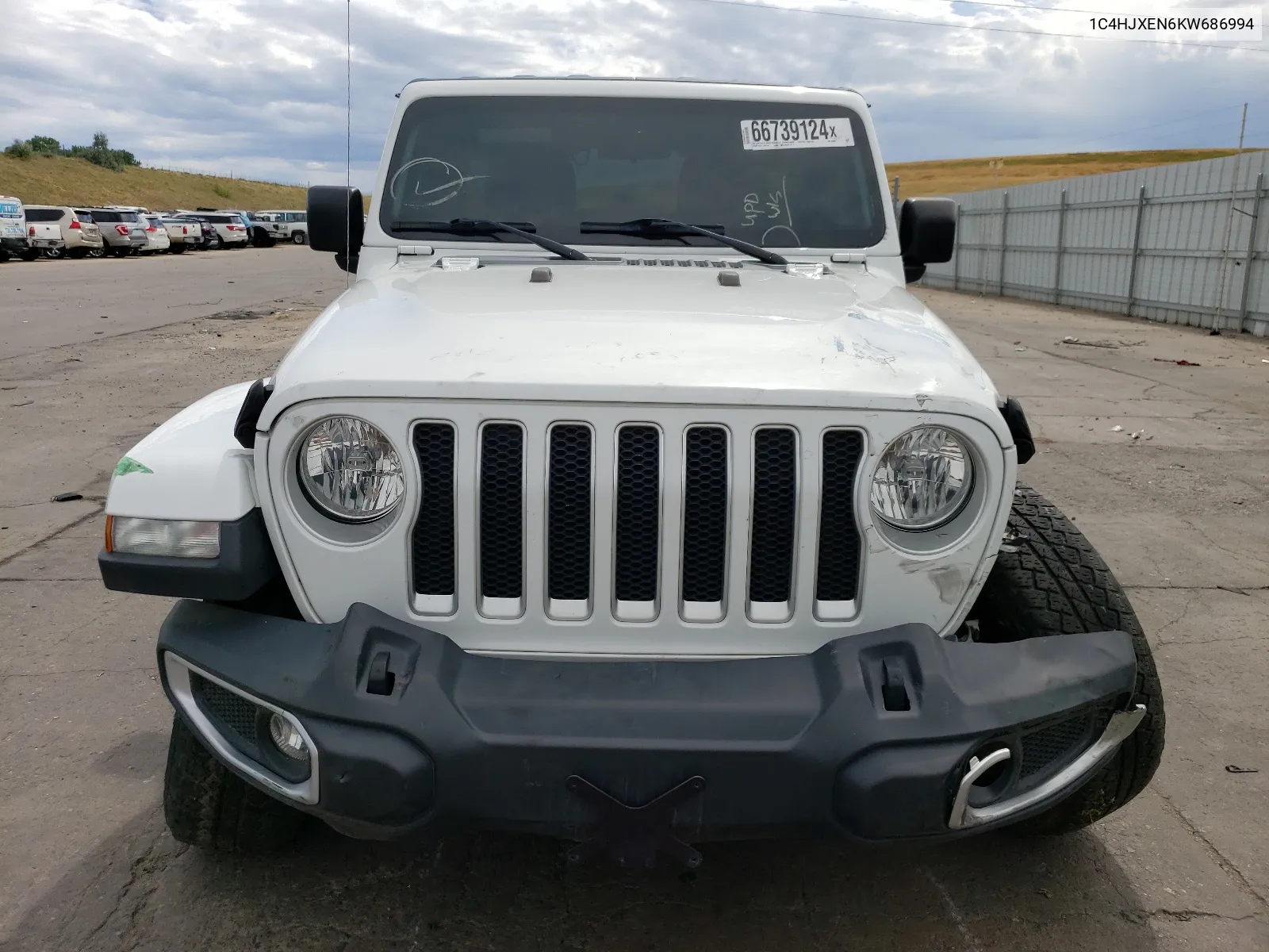 2019 Jeep Wrangler Unlimited Sahara VIN: 1C4HJXEN6KW686994 Lot: 66739124