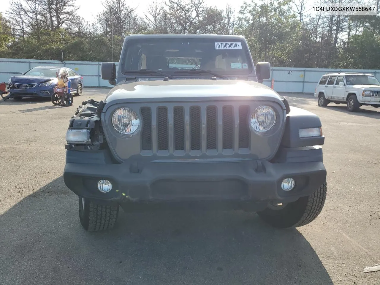 2019 Jeep Wrangler Unlimited Sport VIN: 1C4HJXDGXKW558647 Lot: 67805804