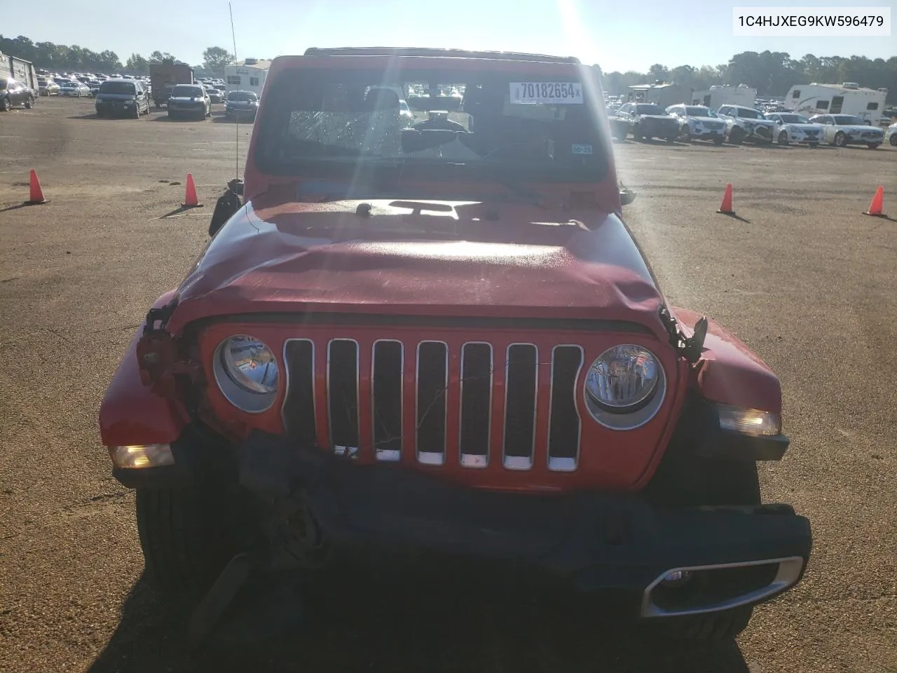 2019 Jeep Wrangler Unlimited Sahara VIN: 1C4HJXEG9KW596479 Lot: 70182654