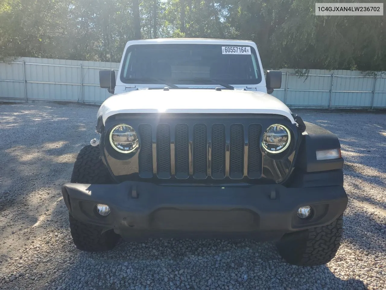 2020 Jeep Wrangler Sport VIN: 1C4GJXAN4LW236702 Lot: 60557164